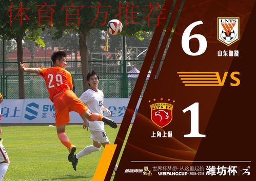 2015"鲁能·潍坊杯"国际青年足球邀请赛七月开战 2015"鲁能·潍坊杯"国际青年足球邀请赛七月开战